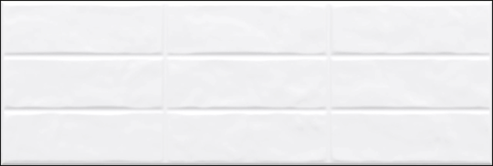 Настенная плитка AltaCera Sanders Crop 20x60 см WT11COP00