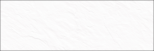 Настенная плитка Delacora Leon White 24,6x74 см ректификат WT15LEN00R